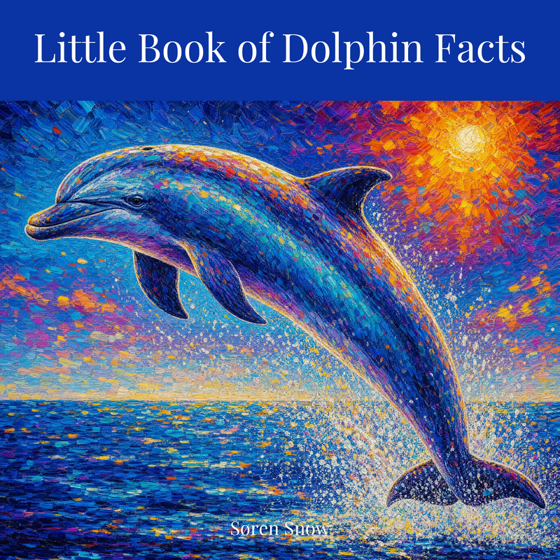 Little Book of Dolphin Facts