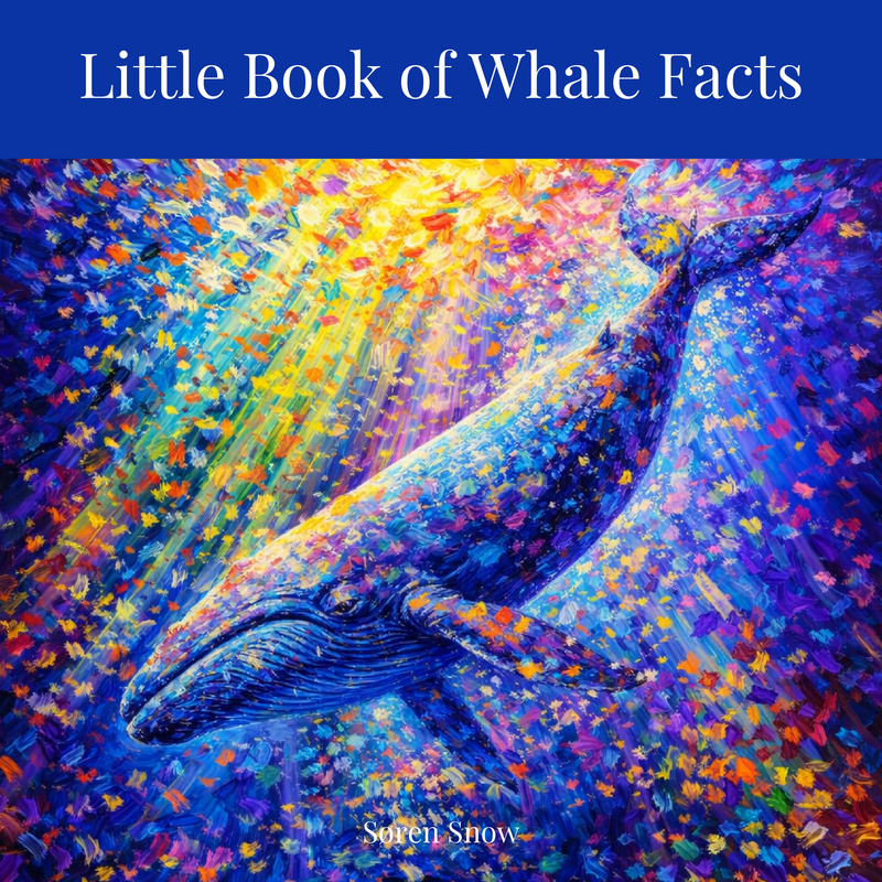 Little Book of Whale Facts