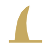 Gold orca fin icon