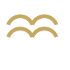 Gold wave icon