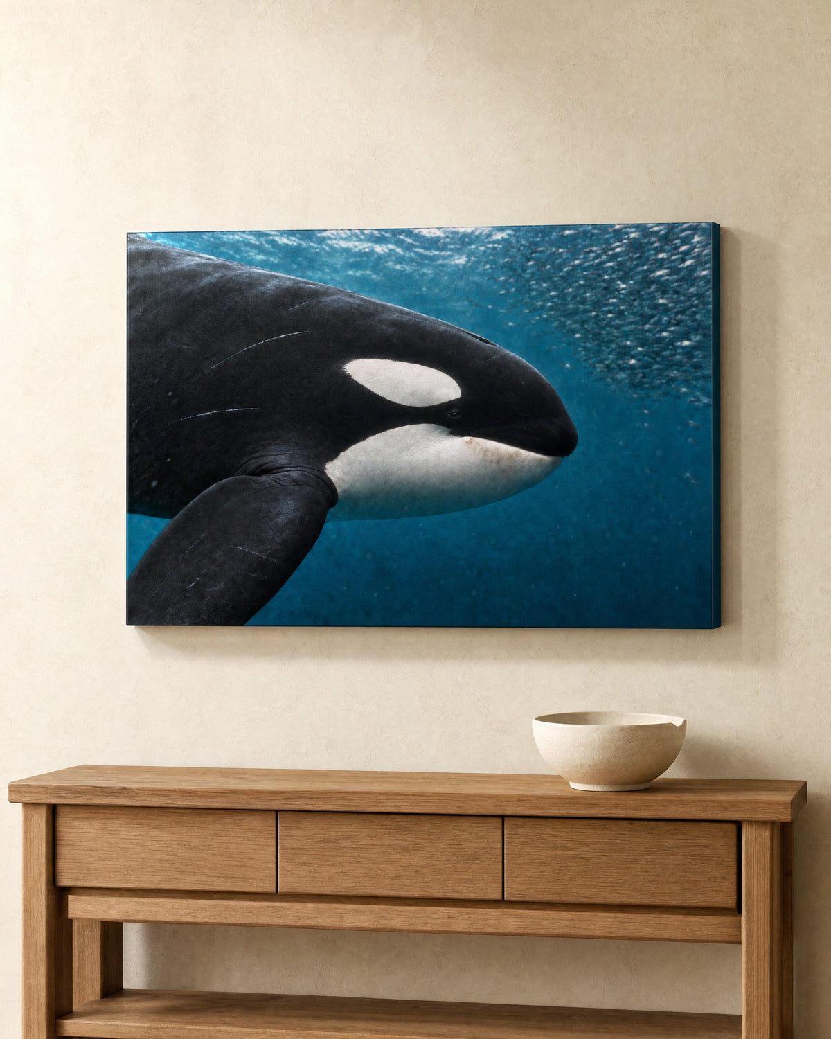 Illustrative mockup of the Orca and Herring canvas above a console.